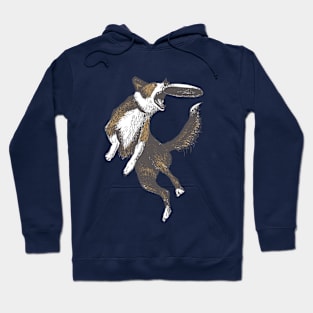 Dog & Frisbee Hoodie